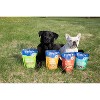 Finley's All Natural Variety Pack with Peanut Butter, Banana,Apple, Cinnamon,Coconut and Pumpkin Biscuit Dog Treats - 4pk/48oz - 4 of 4