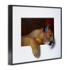 Stupell Industries Wild Cougar Resting Head Interesting Illusion Painting Framed Giclee Art - 2 of 4