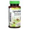 Herbs Etc. Lymphatonic, 60 Softgels - 4 of 4