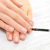 Unique Bargains Sweep Nail Painting Brushes for Polish Painting Home DIY Nail Design Clear Gray 1 Pc - 2 of 4