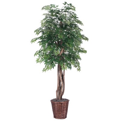 Vickerman Artificial Ming Aralia Extra Full Series