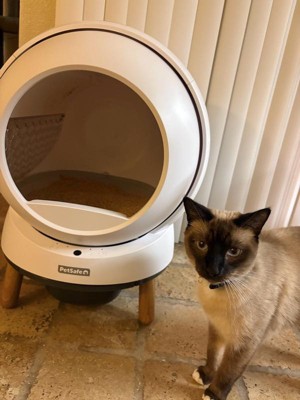 Guest review image 3 of 3, zoom in