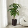 5-6ft UV & Sunproof Artificial Dracaena Tree for Indoor/Outdoor - Faux Silk Plant in Tall Planter, Tall Faux Tree for Home & Garden Decor - 3 of 4