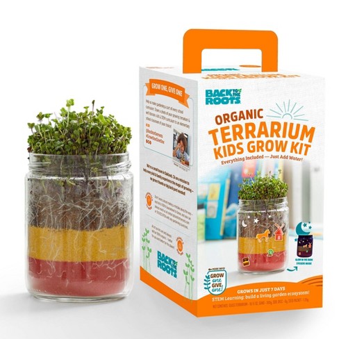 Back to the Roots Organic Terrarium Kids' Grow Kit - image 1 of 4