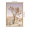 Amanti Art Joshua Tree by Shot by Clint Canvas Wall Art Print Framed - 3 of 4