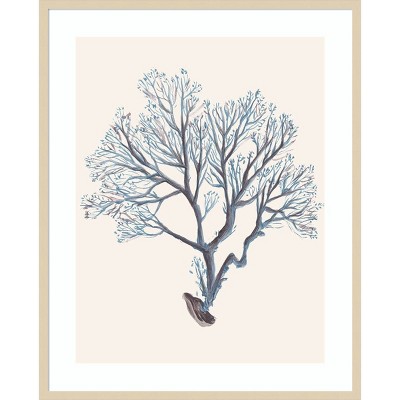 Indigo Reef III Framed Natural Wood Wall Art Print