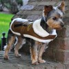 Doggie Design Faux Leather Bomber Dog Coat Harness and Leash- Brown and Black - 3 of 3
