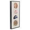 Stupell Industries Traditional Nautical Sea Shells, 13" x 30" - 3 of 4