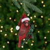 Northlight 3.5" Red Cardinal Bird Wearing Santa Hat Christmas Ornament - 2 of 4