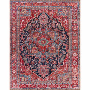 Hauteloom Pauline Red Medallion Performance Rug - 1 of 4