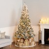 National Tree Company First Traditions Pre-Lit Flocked Acacia Artificial Christmas Tree Clear Lights - 2 of 4