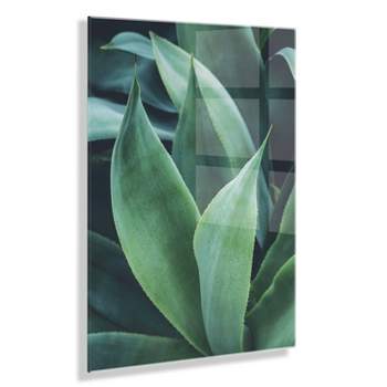 23" x 31" Agave II by Emiko and Mark Franzen of F2 Images Floating Acrylic Unframed Wall Canvas - Kate & Laurel All Things Decor
