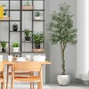 Artificial Olive Tree, Faux Silk Plant Faux Olive Tree with Pot for Office House Living Room Home Decor Housewarming Gift - 4 of 4