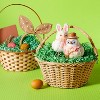 Willow Plastic Wicker Easter Basket - Spritz™ - 2 of 3