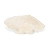 Cheung's Vail Composite Material Sea Shell Catchall Tray - Large - 4 of 4