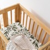 Babyletto Olive Branches Muslin All-Stages Bassinet Sheet - 2 of 4