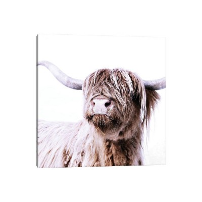 12 X 12 X 0.75 Highland Cattle Frida I Square By Monika Strigel Unframed  Wall Canvas - Icanvas : Target