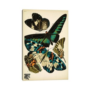 Papillons (Butterflies) X by E.A. Seguy Unframed Wall Canvas - iCanvas - 1 of 4