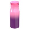 Zak Designs 14 fl oz Double Walled Stainless Steel Tranquility Insulated Straw Bottle - 2 of 4