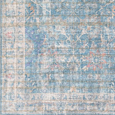 Markleville Pale Blue Washable Traditional Area Rug