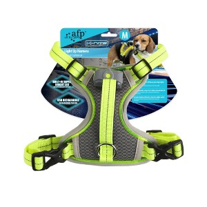 Allforpaws Dog Harness, Light Up Harness - 1 of 4
