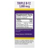 Superior Source Triple B-12, 3,000 mcg, 60 MicroLingual Instant Dissolve Tablets - 2 of 3