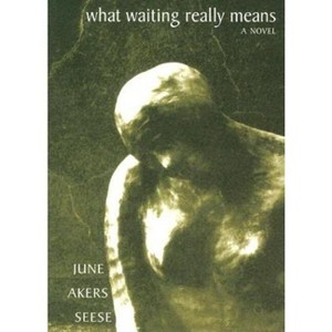 What Waiting Really Means - (American Literature) by  June Akers Seese (Paperback) - 1 of 1