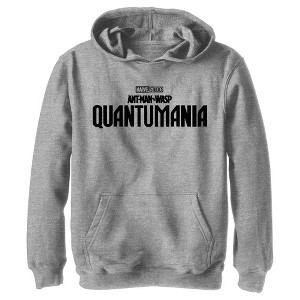 Boy's Ant-Man and the Wasp: Quantumania Movie Logo Black Pull Over Hoodie - 1 of 4