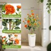 Coucheta 4Ft Artificial Bushes with Camellia Flowers, Faux Fall Trees in Pots, Orange Tree for Autumn Porch, Front Door, Indoor & Outdoor Decor - 3 of 4