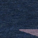 navy/purple