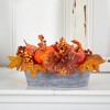 Nearly Natural 12-in Fall Pumpkin and Berries Autumn Harvest Artificial Arrangement in Washed Vase - 3 of 4