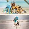 Nocciola 4 PCS Sea Creatures Crinkle Squeaky Dog Toys,Christmas gift,Octopus Shark Crab Mussel Toys, Interactive Toys for Small, Medium & Large Dogs - 2 of 4
