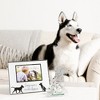 Pavilion Gift Company - Dogs - 9.25" x 7.25" Frame (Holds 6" x 4" Photo) - Single Image Frames - 3 of 4