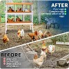 Chicken Nesting Boxes Galvanized Steel Rustproof Egg Laying Box with Egg Collection Systems, Hen Eggs Laying Box, for Chicken House/Duck House/Hen - 3 of 4
