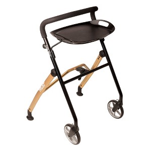 Stander Let's Walk Indoor Walker with Tray and Basket, 2-Wheel Walker with Rear Ski Glides - 1 of 4