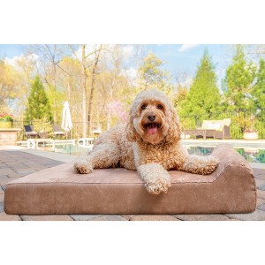 Barker Junior 4" Orthopedic Dog Bed - 1 of 4