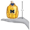 Old World Christmas Glass Blown Ornament, Michigan Hoodie - 2 of 3