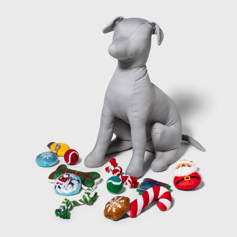 Twelve Days of Dog Toy Set - 12ct - Wondershop&#8482;, 4 of 7