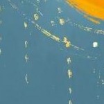 clear push pins bundle