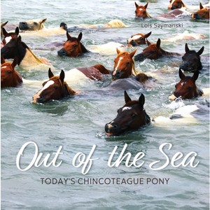 Out of the Sea - 2nd Edition by  Lois Szymanski (Paperback) - 1 of 1