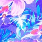 electric purple iris