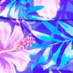 electric purple iris