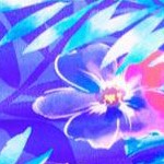 electric purple iris