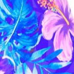 electric purple iris