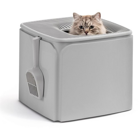 Fashion cat litter box target