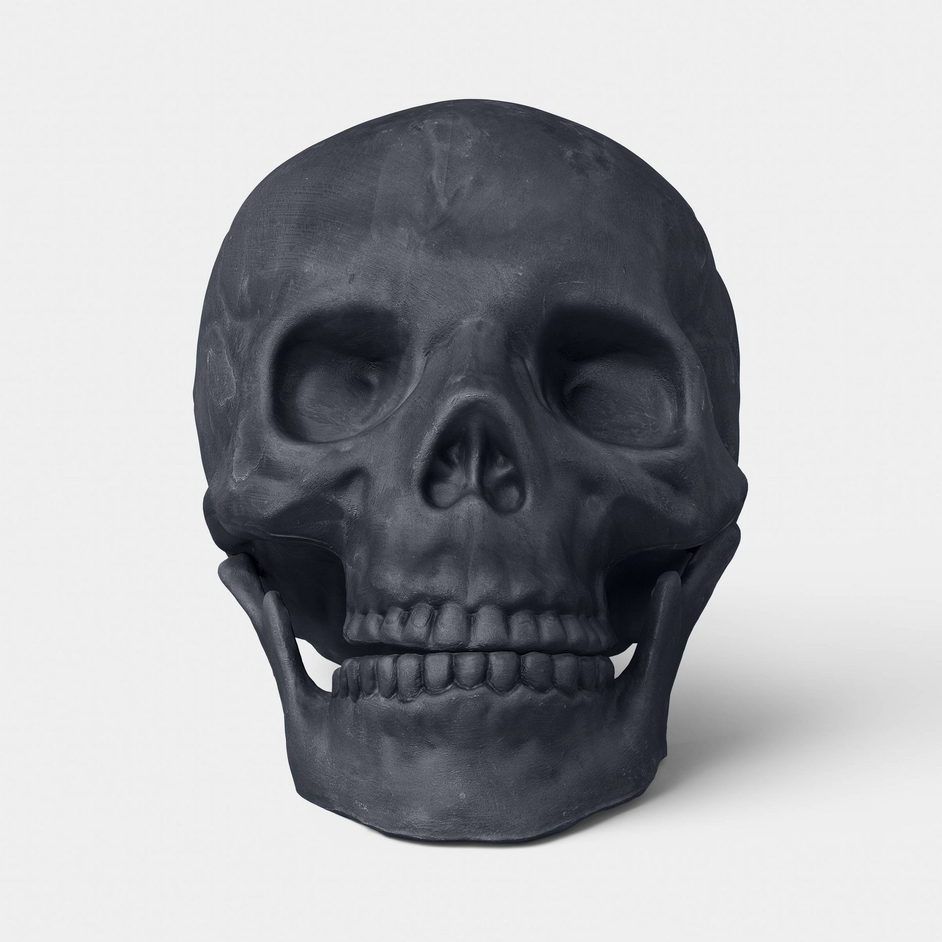 6" Medium Skull Halloween Decorative Prop - Hyde and EEK! Boutique™