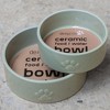 Dexypaws: Ceramic Dog Bowl: Sage Green, 50oz, Pet Feeding Dish - 3 of 4