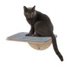 Sandinrayli Cat Window Perch Hammock for Indoor Cats, 2-in-1 Installation - 2 of 4