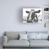 Trademark Fine Art - Michael Willett  Holstein Perspective I Canvas Art - 2 of 4