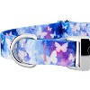 Country Brook Petz Premium Watercolor Butterflies Dog Collar - 4 of 4